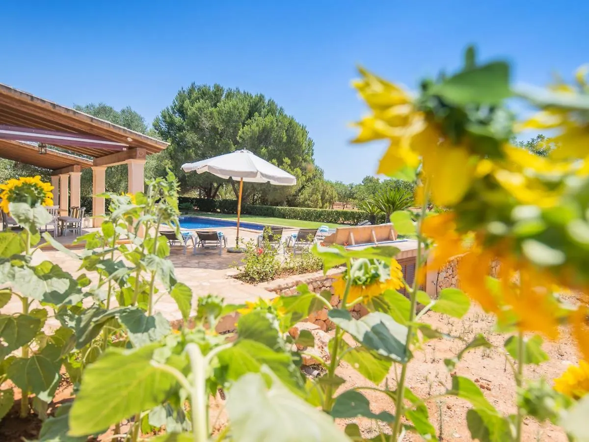 Luxury Finca Ses Quaranta Campos  Spain