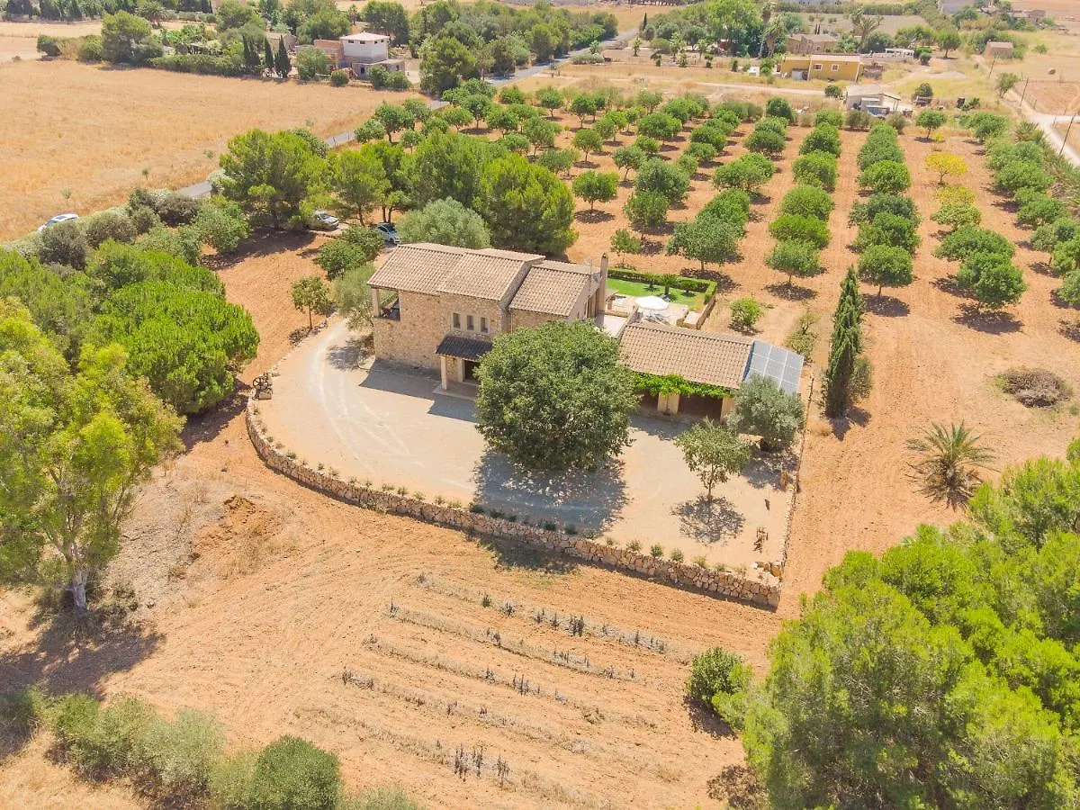 Villa Luxury Finca Ses Quaranta Campos  Spain