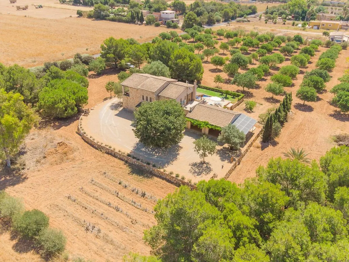 Luxury Finca Ses Quaranta Campos  Villa